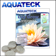 Aquateck Lily Grow Tablets (x6)