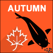 Autumn Fish Foods - Full range