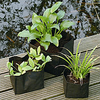 Square Pond Planting Bags - 18cm x 18cm x 18cm (was UBA042)