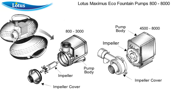 Lotus Maximus Eco Fountain Pump 800 - 8000 Spares Spare Parts