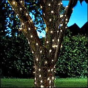 Solar Powered Firefly String Lights - Cool White - 100 LED's