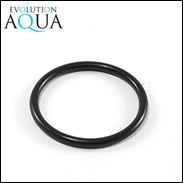 O-Ring for EA 1 Inch Threaded Hosetail