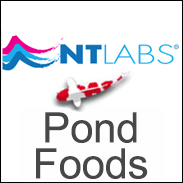 NT Labs - MediKoi Pond Fish Foods