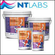 NT Labs MediKoi Staple Fish Food With Colour Enhancer 