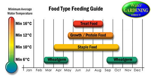 Pond Feeding Chart